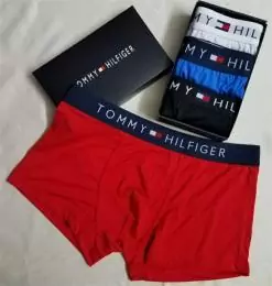 tommy hilfiger th sous vetementss pour homme s_721252